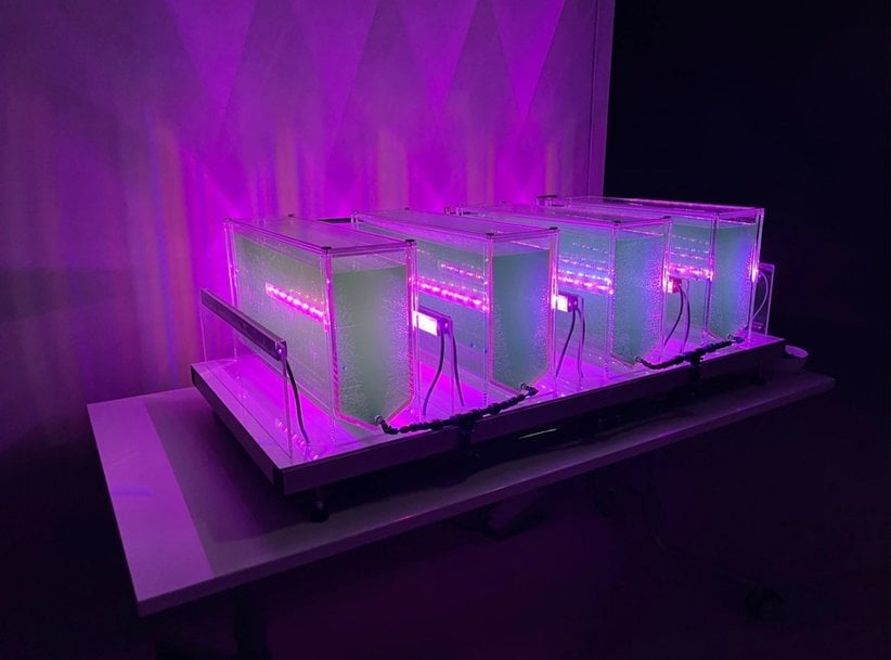 Würth Elektronik: Optimierte Nutzpflanzen mit Horticulture-LEDs